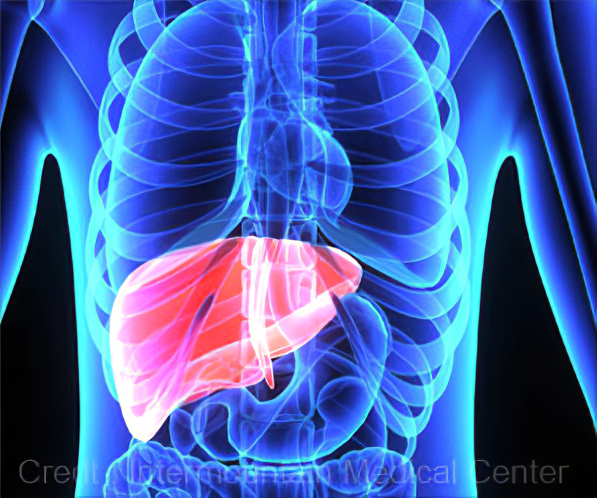 machine-perfusion-and-liver-transplantation-myarogya